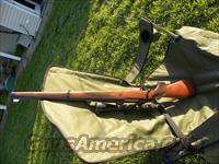 Sako Mannlicher .270  Sako Rifles > Other Bolt Action