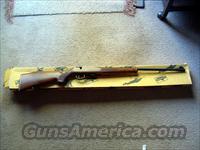 Savage Anschutz Rifle  Anschutz Rifles
