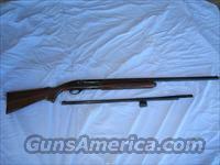 Remington 1100 LT-20  Remington Shotguns  > Autoloaders > Hunting
