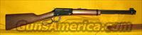 HENRY REPEATING ARMS  Henry Rifle Company