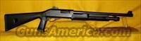 CHARLES DALY  FIELD  Charles Daly Shotguns > Auto