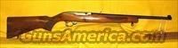 RUGER 10-22  Ruger Rifles > 10-22