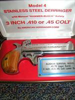 .45-70 Derringer!  Derringer Modern
