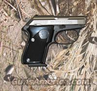 Beretta 3032 Tomcat Two-tone .32acp   Beretta Pistols > Small Caliber Tip Out