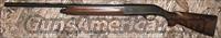 Beretta AL 391 Urika II  Beretta Shotguns > Autoloaders > Hunting
