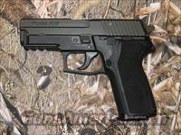 Sig Sauer P229 R  Sig - Sauer/Sigarms Pistols > P229