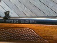 Winchester 100, .284  Winchester Rifles - Modern Bolt/Auto/Single > Autoloaders