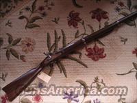 1861 musket  post war  Colt Rifles - Non-AR15 Modern Rifles