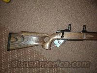 browning abolt 22lr images