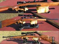  Springfield Sporter Model 03A3    Military Misc. Rifles US > 1903 Springfield/Variants