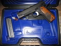 DAN WESSON GUARDIAN BLEM  Dan Wesson Pistols/Revolvers > 1911 Style