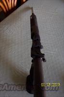 BushMaster AR 15 Varminter Rifle NIB  Bushmaster Rifles > Complete Rifles
