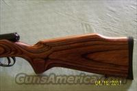 Savage Model 25, .223 Light Varmint Rifle  Savage Rifles > Accutrigger Models > Tactical