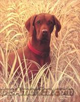 Bird Dog prints  Artwork