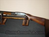 MODEL 12  20 GA  2-3/4  Winchester Shotguns - Modern > Pump Action > Hunting