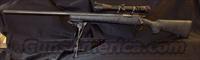Remington Model 700 Tactical  Remington Rifles - Modern > Model 700 > Tactical