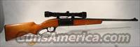 Savage 99 lever action    .300 Savage Used  Savage Rifles > Model 95/99 Family