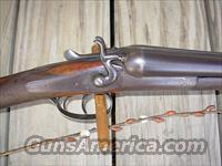 MACNAUGHTON HAMMER GUN 12 GAUGE  Double Shotguns (Misc.)  > English