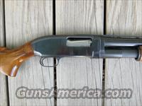 WINCHESTER MODEL 12 12 GA VENT RIB ADJ COMB BRILEY TUBE  Winchester Shotguns - Modern > Pump Action > Trap/Skeet