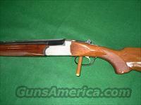 AMERICAN ARMS SILVER 1 20 GAUGE  American Arms Shotguns