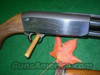 ITHACA 37 20 GAUGE SIMMONS VENT RIB, TWO STOCKS  Ithaca Shotguns > Pump
