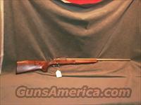 Dakota Arms Predator 17VarTarg  Dakota Arms Rifles