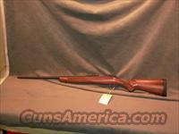 Kimber 8400 Classic 300WSM  Kimber of America Rifles