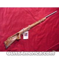 SAVAGE 17HMR STAINLESS LAMINATE THUMBHOLE NEW (93R17BTVS)  Savage Rifles > Accutrigger Models > Sporting