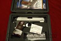 SIG SAUER 1911 COMPACT TWO-TONE 45CAL.  NEW  Sig - Sauer/Sigarms Pistols > 1911