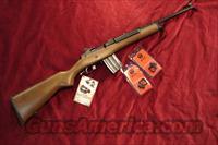 RUGER MINI 14 BLUE RANCH 20 ROUND NEW   Ruger Rifles > Mini-14 Type