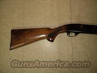 Remington Model 11-48  Remington Shotguns  > Autoloaders > Hunting
