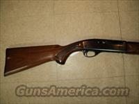 Remington 11-48  Remington Shotguns  > Autoloaders > Hunting