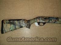 Benelli M2  Benelli Shotguns > Sporting
