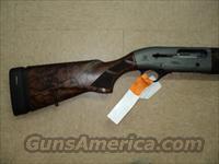 Beretta A400 Xplor  Beretta Shotguns > Autoloaders > Hunting