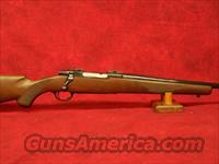 Ruger 77 .243 Win Tang Safety  Ruger Rifles > Model 77