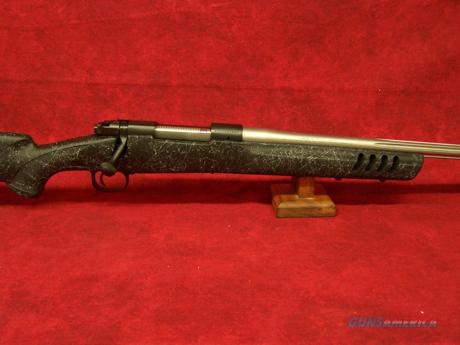 Winchester Model 70 Coyote Light .300 WSM 24" (... for sale