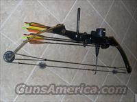 Compond Bow  Archery > Bows > Compound