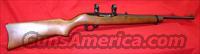 Ruger 10-22 Magnum  Ruger Rifles > 10-22