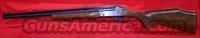 Savage 24 series S 22LR/20ga  Savage Rifles > Other