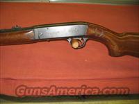 Remington 241  Remington Rifles - Modern > .22 Rimfire Models