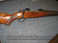 Winchester 70  Winchester Rifles - Modern Bolt/Auto/Single > Model 70 > Post-64