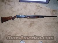Winchester Model 12  12ga solid rib  Winchester Shotguns - Modern > Pump Action > Hunting