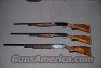 Winchester Vintage Model 12's   Winchester Shotguns - Modern > Pump Action > Hunting