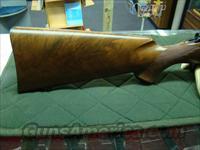 Kimber of Oregon 84M Super America 223 22" Rifle  Kimber of Oregon Rifles