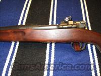 Springfield M2 .22LR  Military Misc. Rifles US > 1903 Springfield/Variants