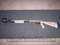 Rem 870 Tac Desert Recon  Remington Shotguns  > Pump > Tactical