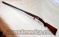 FOX COLLECTORS 16ga.-- LOOK!  Fox Shotguns