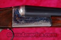 AyA Model 453 12ga. NICE CASE COLOR  AYA Shotguns