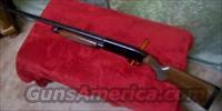 Winchester Model 1300 20GA New Unfired  Winchester Shotguns - Modern > Pump Action > Hunting