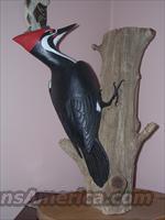 Hand Carved Pileated Woodpecker  Artwork